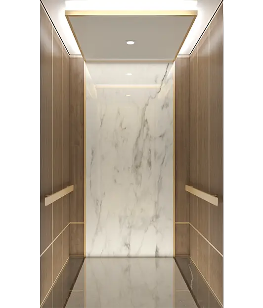 Space-efficient Home Lifts for Villas
