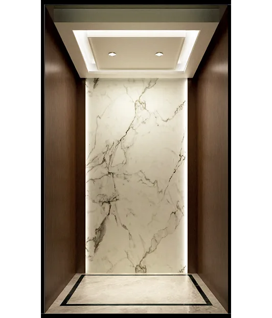 HAYASHIMU Space-Saving Villa Elevators for Modern Residences