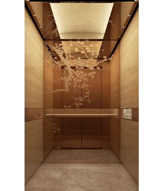 Energy-Efficient Home Elevators | Eco-Friendly Villa Lift