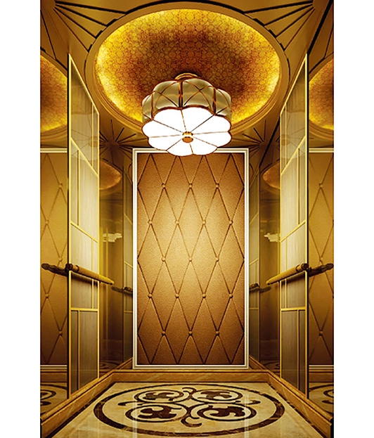 Titanium Golden Passenger Elevator