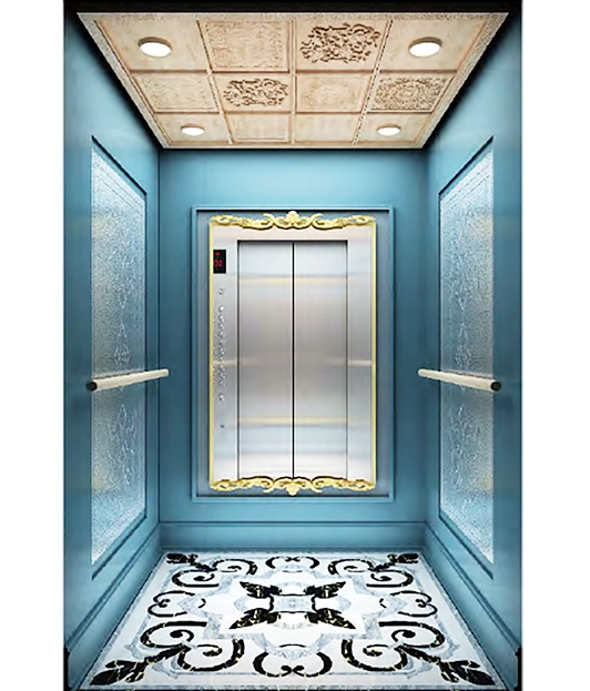 European Metal Frame Designed Passenger Elevator.