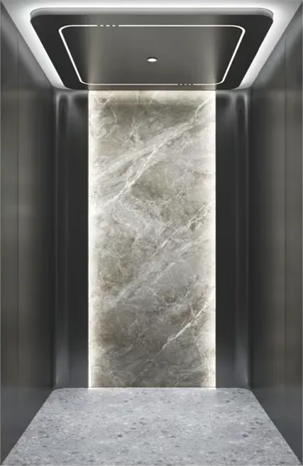 Black Titanium Hairline St.St Paneled Passenger Elevator