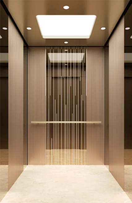 Bronze Mirror-Etched St.St Paneled Passenger Elevator