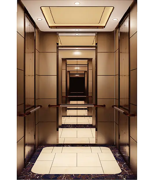 A Premium Golden Wall Patterned Passenger Elevator.
