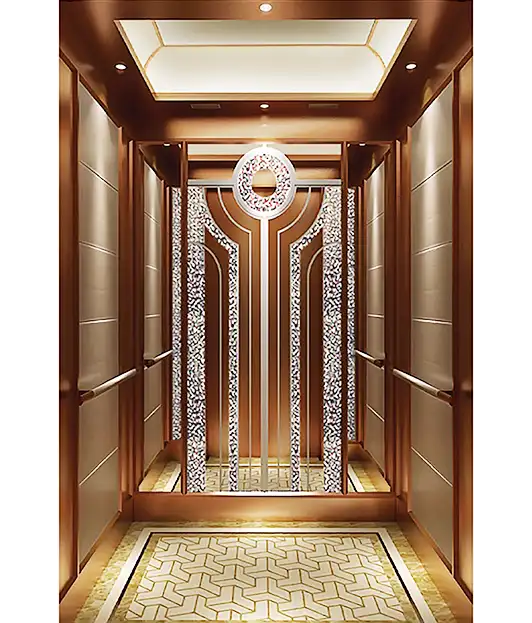 A Premium Decorative Wall Patterned Passenger Elevator.